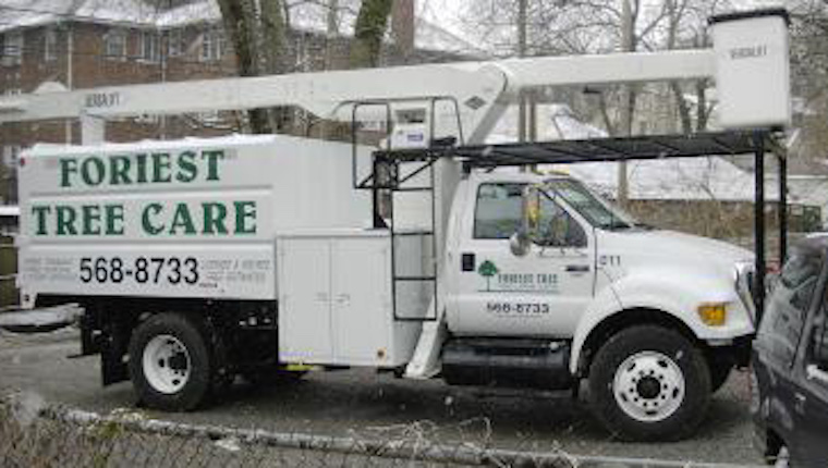 foriest-tree-care11