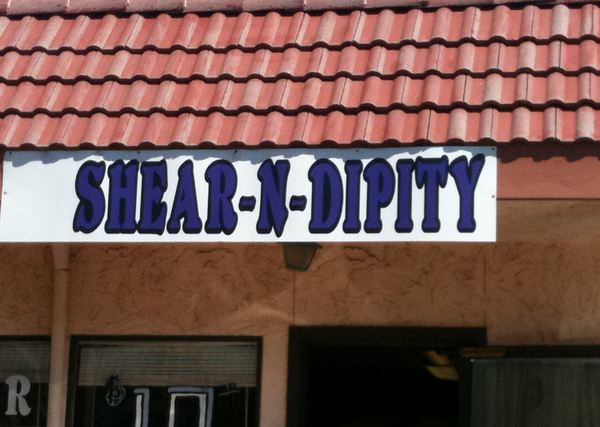 Shear-N-Dipity, Barbershop With Humor