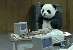 f-this-panda-1