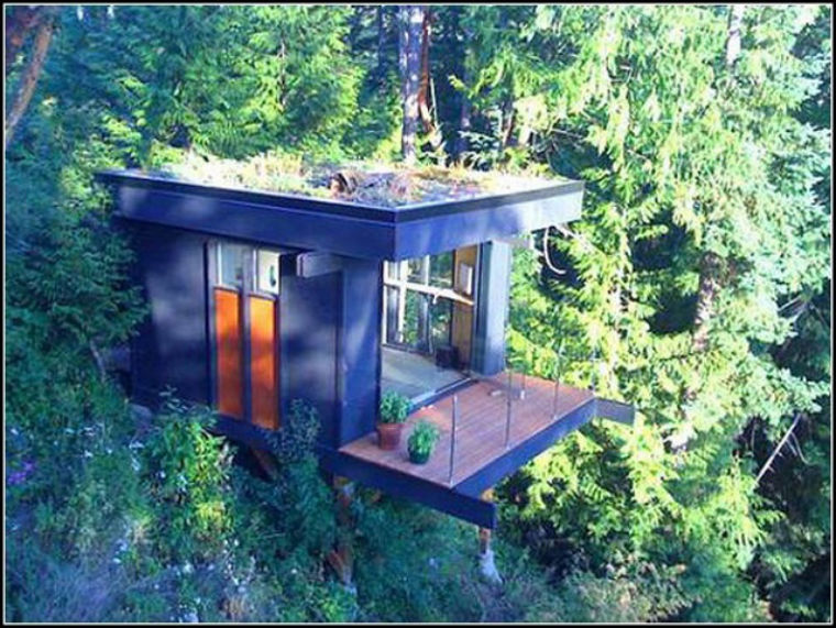 Treehouse office