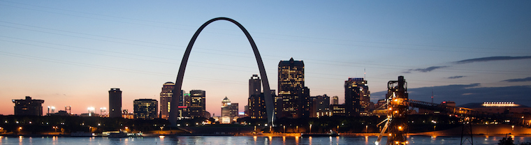 Picture shows the city St. Louis in USA